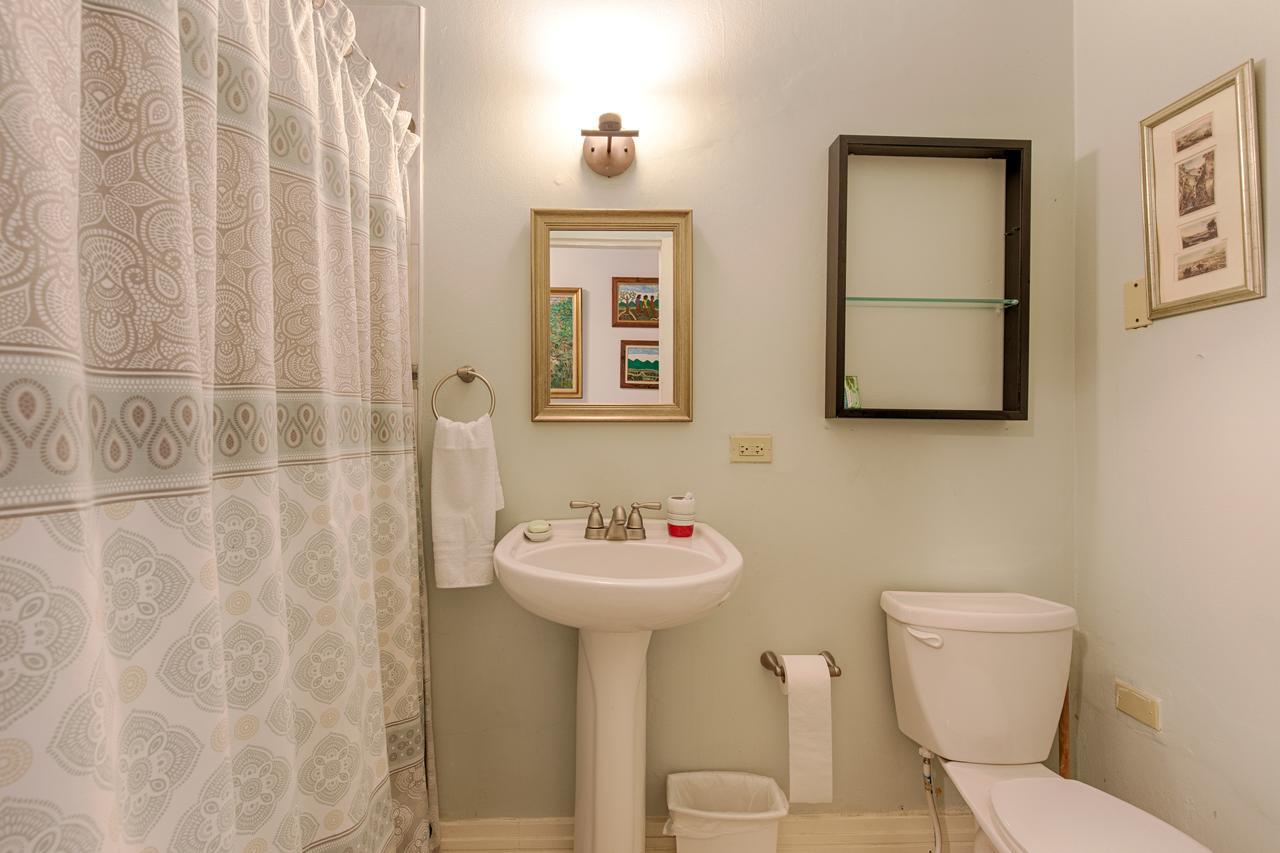 Chester Avenue Guest House Kingston Ngoại thất bức ảnh