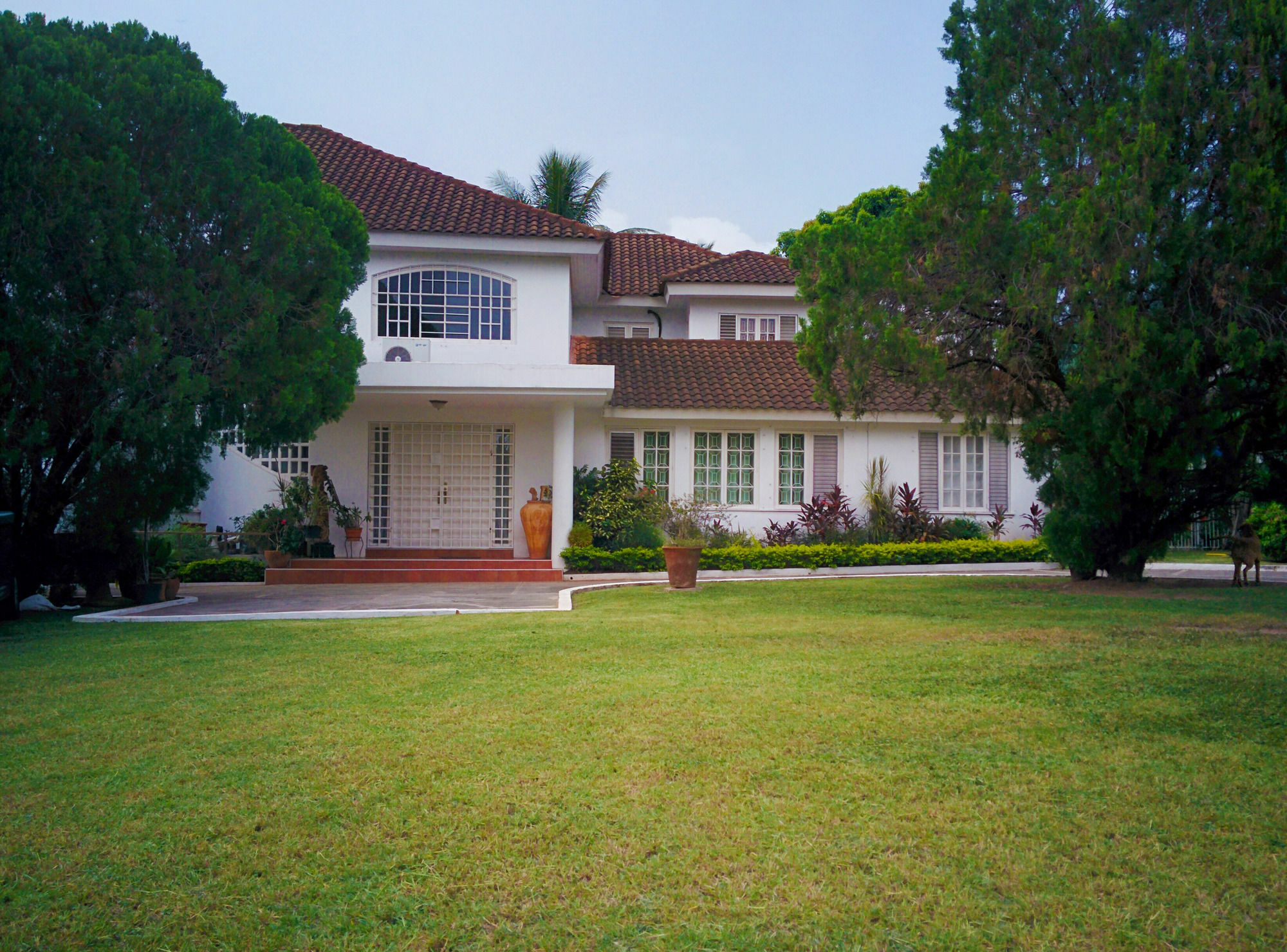 Chester Avenue Guest House Kingston Ngoại thất bức ảnh