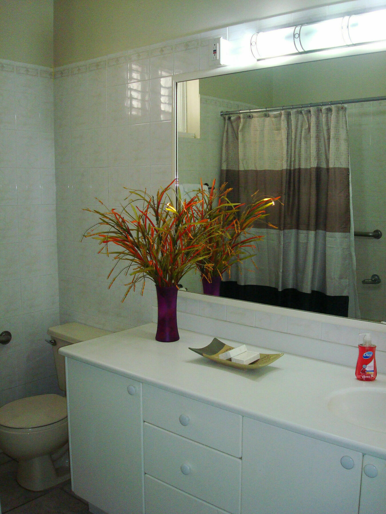 Chester Avenue Guest House Kingston Ngoại thất bức ảnh